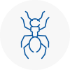 Ant Removals In Liskeard