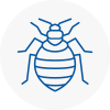 Bed Bug Extermination In Liskeard