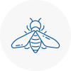 Bee Nest Removal Liskeard