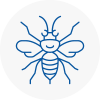 Liskeard Hornet Nest Removals