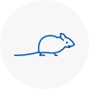 Mice Exterminators In Liskeard