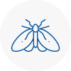 Moth Control Specialists In Liskeard