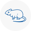 Rat Control Liskeard