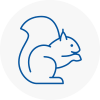 Liskeard Rodent Removals